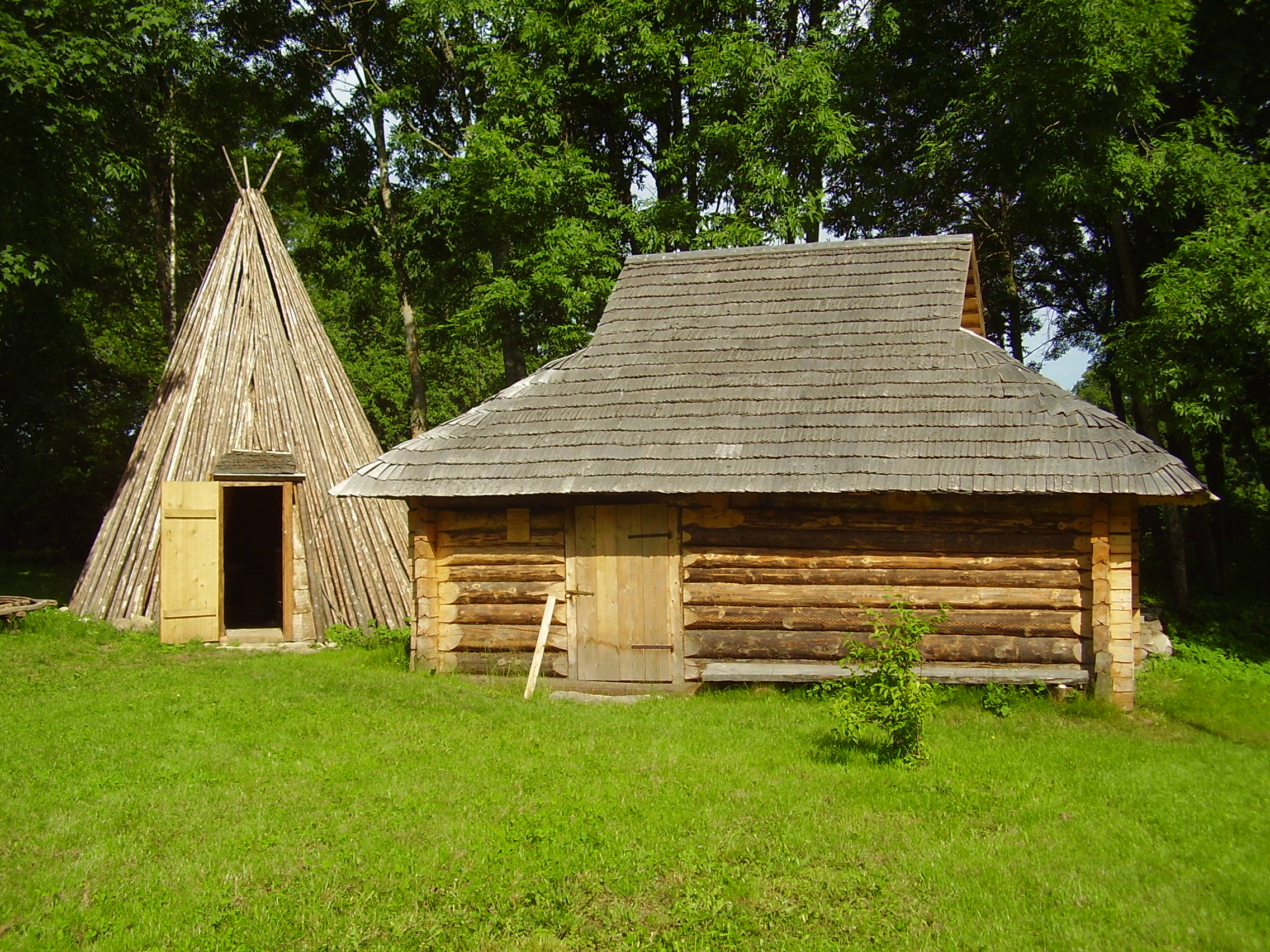 Süvasaun